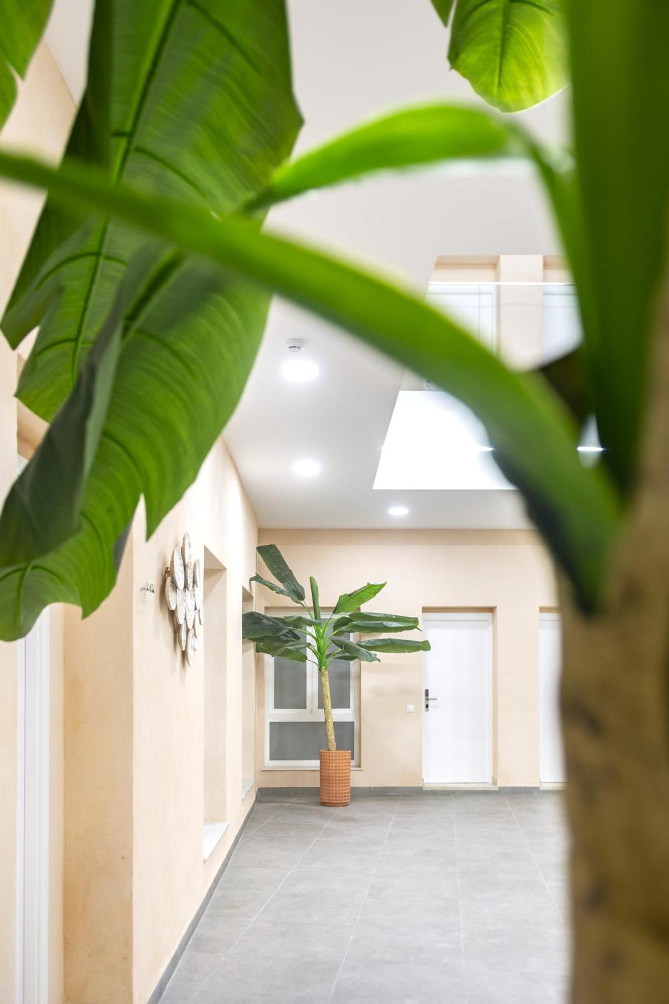Apartamentos La Tahona Cadix Extérieur photo